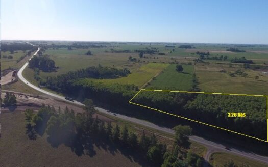 Predio Frente a Ruta 7 – Comercial o Fin de semana