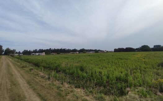 Campo de 3 has – Barrio La Amalia