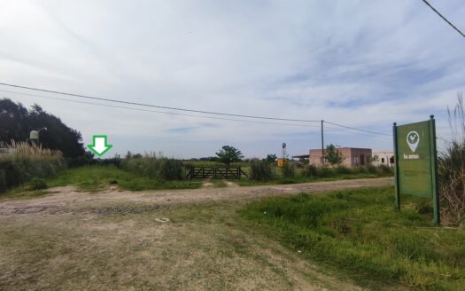 Campo de 3 has – Barrio La Amalia