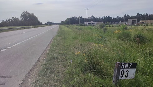 Campo de 3 has – Barrio La Amalia