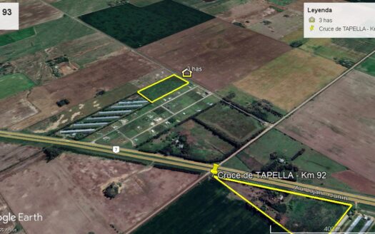 Campo de 3 has – Barrio La Amalia