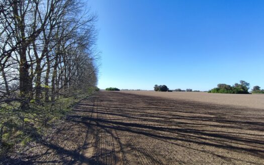 Campo Agrícola – 21 has Villa Espil