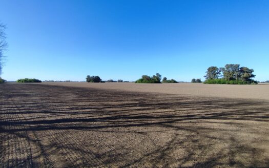 Campo Agrícola – 21 has Villa Espil