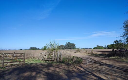 Campo Agrícola – 21 has Villa Espil