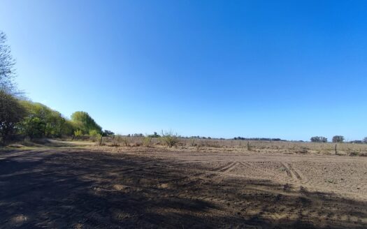 Campo Agrícola – 21 has Villa Espil