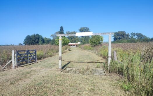 Chacra Exclusivo – 2 has con casa