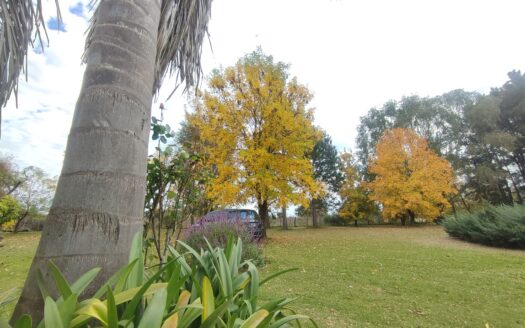 Impecable Chacra en barrio rural – PILETA