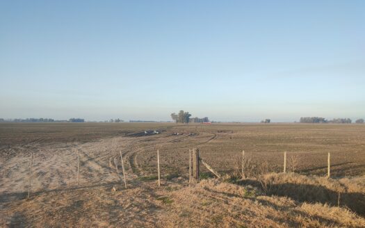 Campo mixto 71 has – próximo a Autovia 7