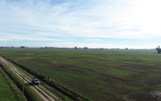 Campo mixto 71 has – próximo a Autovia 7