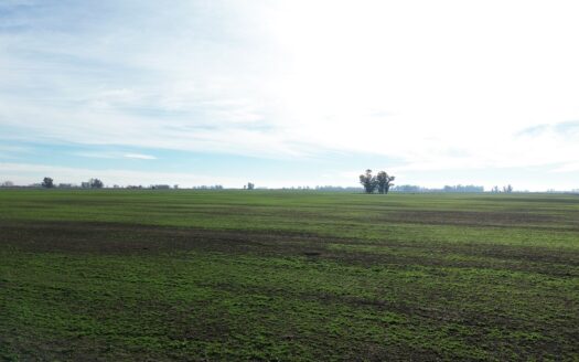 Campo mixto 71 has – próximo a Autovia 7