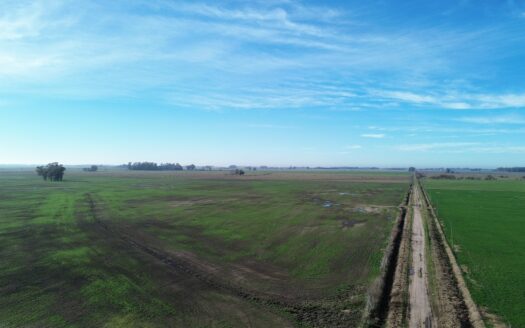 Campo mixto 71 has – próximo a Autovia 7