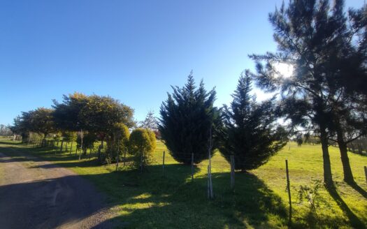 CASA QUINTA EN VENTA – 1 HECTÁREA
