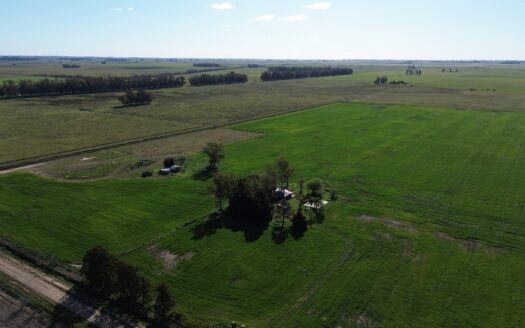 Campo Agrícola de 28 Has en Venta – Espora, San Andrés de Giles