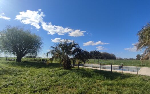 Campo Agrícola de 28 Has en Venta – Espora, San Andrés de Giles