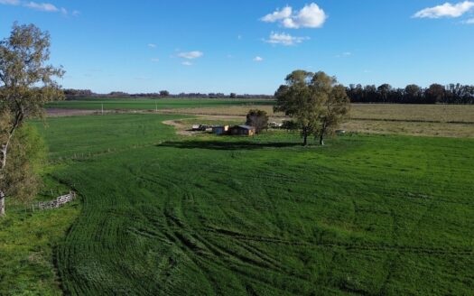 Campo Agrícola de 28 Has en Venta – Espora, San Andrés de Giles