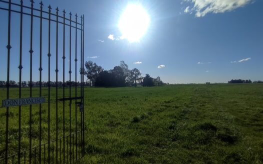 Campo Agrícola de 28 Has en Venta – Espora, San Andrés de Giles