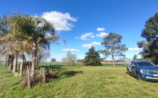 Campo Agrícola de 28 Has en Venta – Espora, San Andrés de Giles